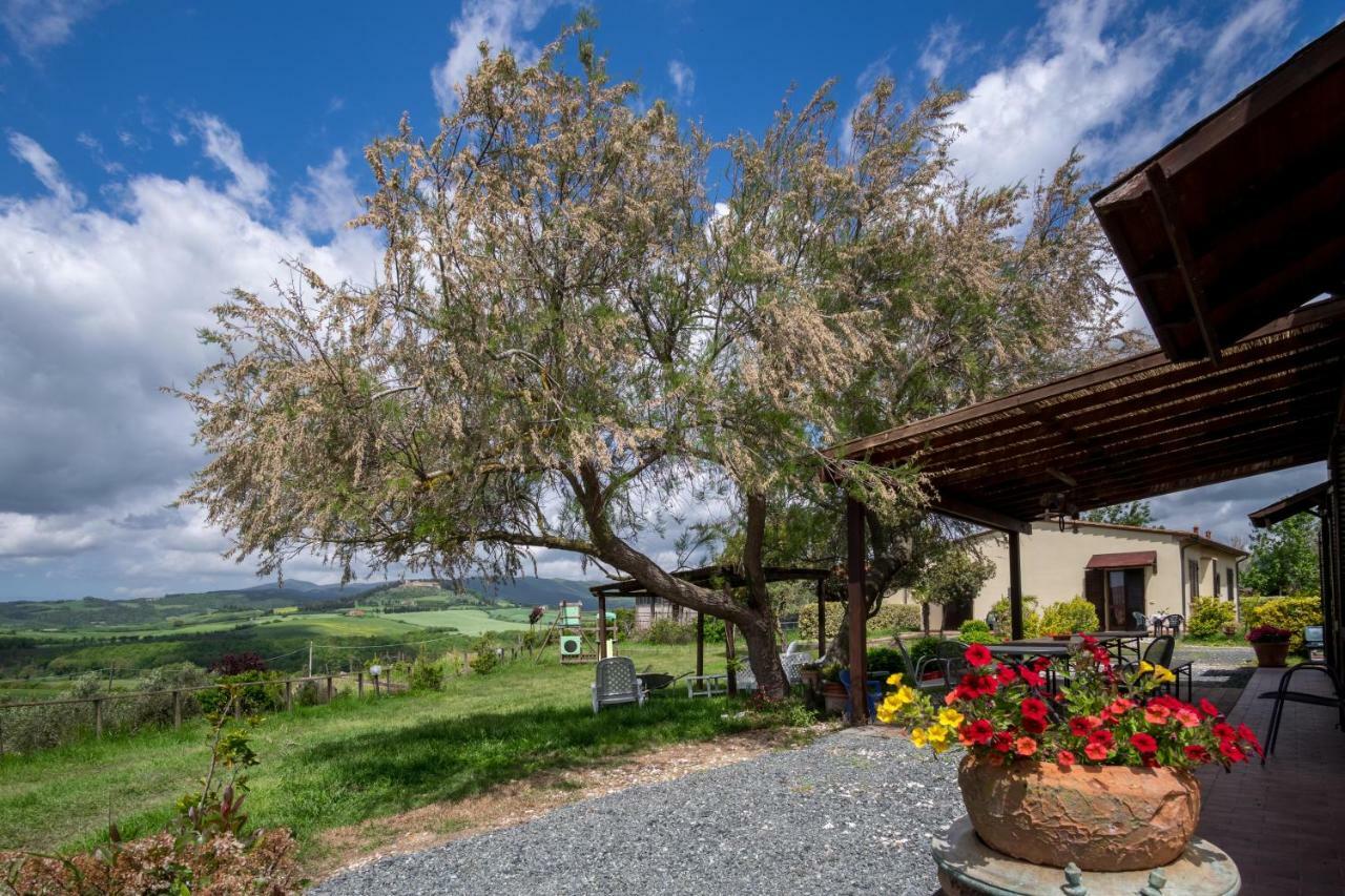 Agriturismo Il Canterino Guardistallo Exteriér fotografie