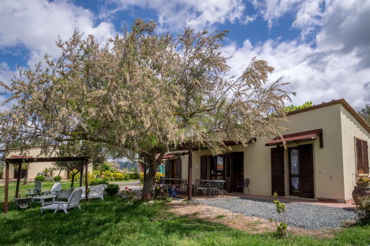 Agriturismo Il Canterino Guardistallo Exteriér fotografie