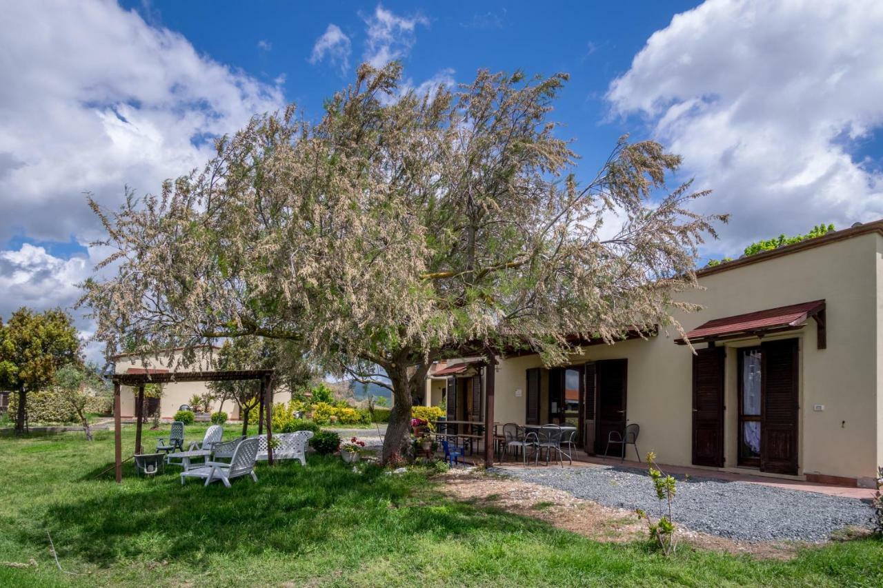 Agriturismo Il Canterino Guardistallo Exteriér fotografie